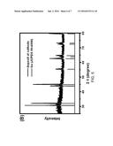 ELECTROCHEMICAL TREATMENT BASED SURFACE MODIFICATION DEVICE diagram and image