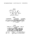 Enhanced Isotachophoresis Assays Using Additives with Spatial Gradients diagram and image