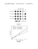 POLYARGININE-COATED MAGNETIC NANOVECTOR AND METHODS OF USE THEREOF diagram and image