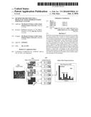 Method for Implementing a High-Level Image Representation for Image     Analysis diagram and image