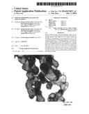 PROCESS FOR PRODUCING HOLLOW SILICON BODIES diagram and image