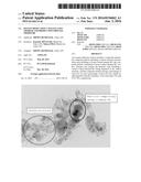 OXYGEN REDUCTION CATALYST, USES THEREOF AND PRODUCTION PROCESS THEREFOR diagram and image