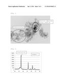 OXYGEN REDUCTION CATALYST, USES THEREOF AND PRODUCTION PROCESS THEREFOR diagram and image