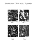 PROCESS FOR PREPARING AN ION-EXCHANGE COMPOSITE MATERIAL COMPRISING A     SPECIFIC POLYMER MATRIX AND A FILLER CONSISTING OF ION-EXCHANGE PARTICLES diagram and image