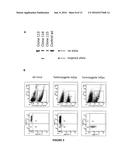 TRANSGENIC NON-HUMAN MAMMAL FOR PRODUCING CHIMERIC HUMAN IMMUNOGLOBULIN E     ANTIBODIES diagram and image