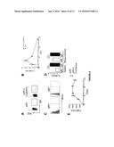 TRANSGENIC NON-HUMAN MAMMAL FOR PRODUCING CHIMERIC HUMAN IMMUNOGLOBULIN E     ANTIBODIES diagram and image