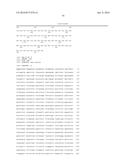 NON-HUMAN ANIMALS HAVING A HUMANIZED CLUSTER OF DIFFERENTIATION 47 GENE diagram and image