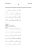 NON-HUMAN ANIMALS HAVING A HUMANIZED CLUSTER OF DIFFERENTIATION 47 GENE diagram and image