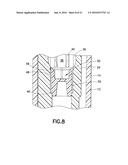 Capillary Action Collection Device and Container Assembly diagram and image