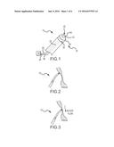 Anatomical thermal sensing device and method diagram and image