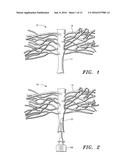 Vascular casted prostheses and methods of forming same for treating     biological tissue diagram and image