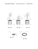 Graft Devices and Methods of Fabrication diagram and image