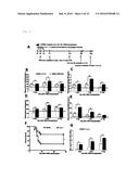 NOVEL USE FOR PAI-1 INHIBITOR diagram and image