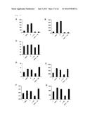 NOVEL USE FOR PAI-1 INHIBITOR diagram and image