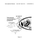 Combination Therapies for the Treatment of Alzheimer s Disease and Related     Disorders diagram and image