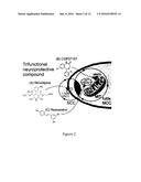 Combination Therapies for the Treatment of Alzheimer s Disease and Related     Disorders diagram and image