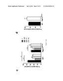 Methods and Treatments for the Learning and Memory Deficits Associated     with Noonan Syndrome diagram and image