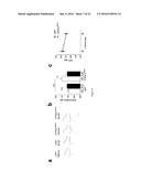 Methods and Treatments for the Learning and Memory Deficits Associated     with Noonan Syndrome diagram and image