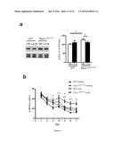 Methods and Treatments for the Learning and Memory Deficits Associated     with Noonan Syndrome diagram and image