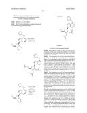 METHOD OF REDUCING INTRAOCULAR PRESSURE IN HUMANS diagram and image