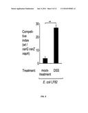 TUNGSTATE TREATMENT OF THE DYSBIOSIS ASSOCIATED WITH GASTROINTESTINAL     INFLAMMATION diagram and image