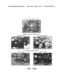 EXTRUDED NON-REPLICATING PROBIOTIC MICRO-ORGANISMS AND THEIR HEALTH     BENEFITS diagram and image