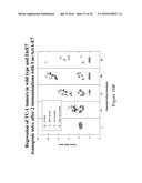 COMPOSITIONS AND METHODS FOR TREATMENT OF NON-HODGKINS LYMPHOMA diagram and image