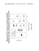 COMPOSITIONS AND METHODS FOR TREATMENT OF NON-HODGKINS LYMPHOMA diagram and image