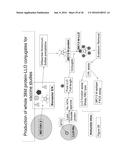 COMPOSITIONS AND METHODS FOR TREATMENT OF NON-HODGKINS LYMPHOMA diagram and image