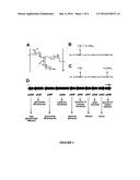 METHODS FOR PRODUCING SALMONELLA O-ANTIGEN CAPSULES, COMPOSITIONS AND USES     THEREOF diagram and image