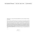 METHODS OF STIMULATING IMMUNITY EMPLOYING DENGUE VIRAL ANTIGENS diagram and image