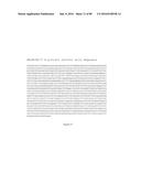 METHODS OF STIMULATING IMMUNITY EMPLOYING DENGUE VIRAL ANTIGENS diagram and image