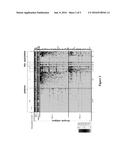 Methods And Compositions of Protein Antigens For The Diagnosis And     Treatment of Herpes Simplex Viruses Type 1 And 2 diagram and image