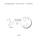 Menthol-based Nanoparticles for Drug Delivery diagram and image