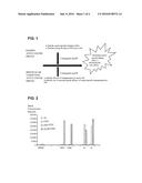 CELL-PENETRATING PEPTIDE AND CONJUGATE COMPRISING SAME diagram and image