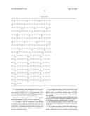 CELL-PENETRATING PEPTIDE AND CONJUGATE COMPRISING SAME diagram and image