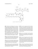 PHARMACEUTICAL, WATER-SOLUBLE AND ANTIFUNGAL MACROMOLECULAR COMPOUND diagram and image