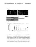 POLYSACCHARIDE HYDROGELS FOR INJECTION WITH TUNABLE PROPERTIES diagram and image