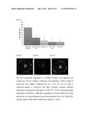 POLYSACCHARIDE HYDROGELS FOR INJECTION WITH TUNABLE PROPERTIES diagram and image