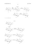 METHODS, SYSTEMS, AND COMPOSITIONS FOR PROMOTING BONE GROWTH diagram and image