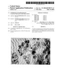 Supported Nano Sized Zeolite Catalyst for Alkylation Reactions diagram and image