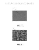 VISIBLE LIGHT RESPONSE CATALYST STRUCTURE AND PROCESS FOR MANUFACTURING     THE SAME diagram and image