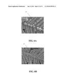 VISIBLE LIGHT RESPONSE CATALYST STRUCTURE AND PROCESS FOR MANUFACTURING     THE SAME diagram and image