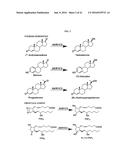 Bifunctional AKR1C3 Inhibitors/Androgen Receptor Modulators and Methods of     Use Thereof diagram and image