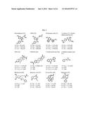 Bifunctional AKR1C3 Inhibitors/Androgen Receptor Modulators and Methods of     Use Thereof diagram and image