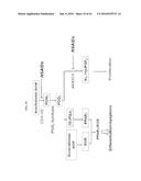 Bifunctional AKR1C3 Inhibitors/Androgen Receptor Modulators and Methods of     Use Thereof diagram and image