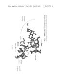 Bifunctional AKR1C3 Inhibitors/Androgen Receptor Modulators and Methods of     Use Thereof diagram and image