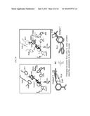 Bifunctional AKR1C3 Inhibitors/Androgen Receptor Modulators and Methods of     Use Thereof diagram and image