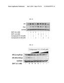 Bifunctional AKR1C3 Inhibitors/Androgen Receptor Modulators and Methods of     Use Thereof diagram and image