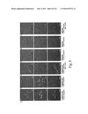 ALKYNES AND METHODS OF REACTING ALKYNES WITH 1,3-DIPOLE-FUNCTIONAL     COMPOUNDS diagram and image